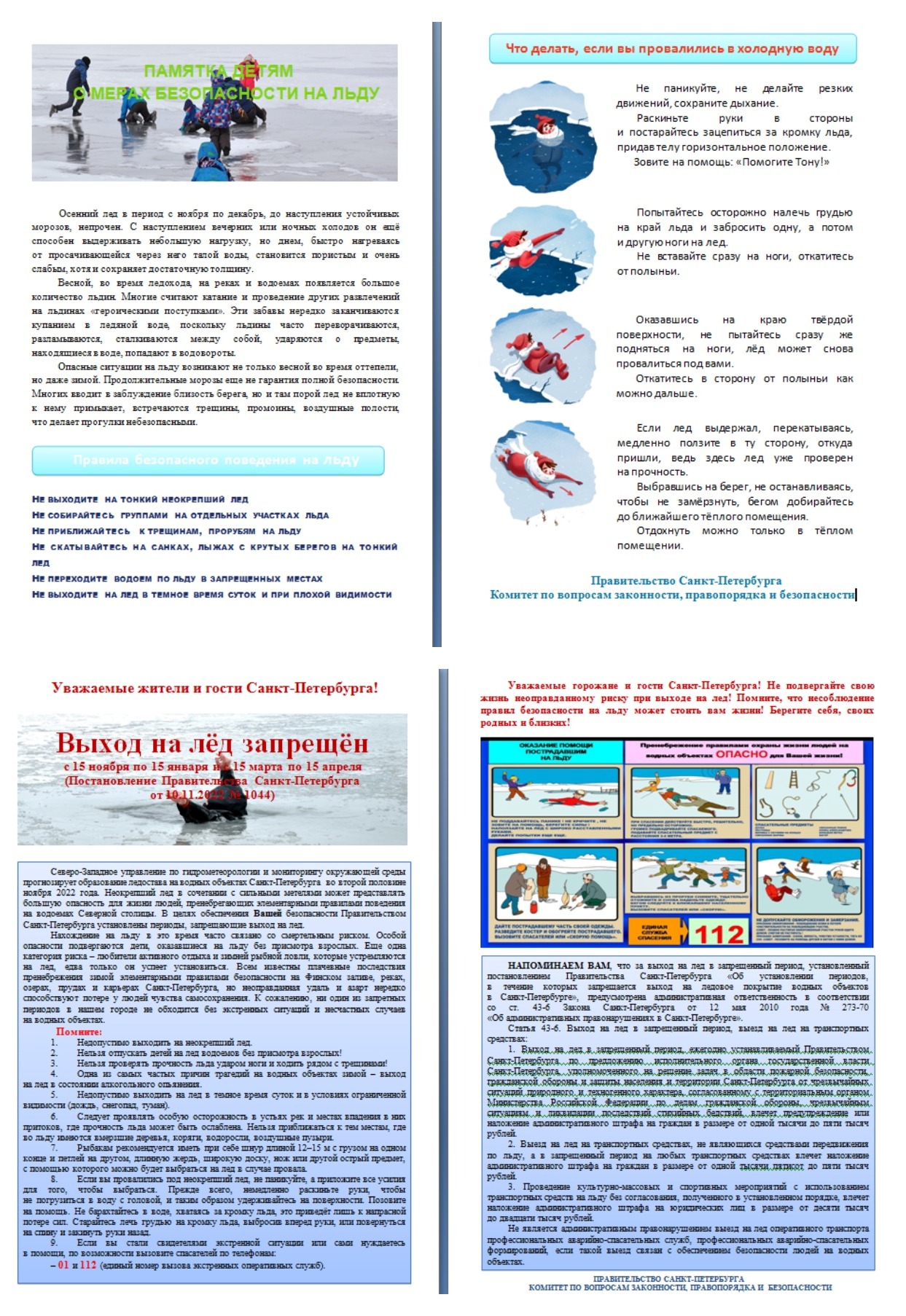 Директор-Морозова Татьяна Владимировна